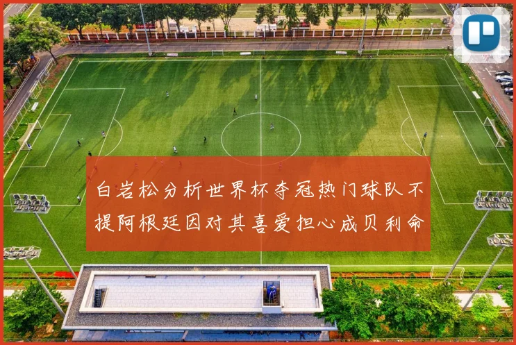 白岩松分析世界杯夺冠热门球队不提阿根廷因对其喜爱担心成贝利命运