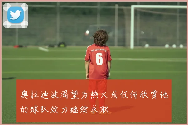 奥拉迪波渴望为热火或任何欣赏他的球队效力继续求职